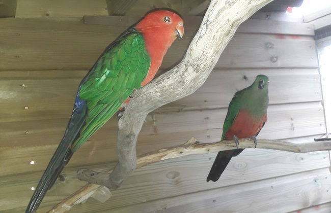 Ruby Shepherds hut Sleeps 4 - Photo 13