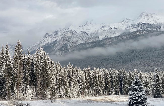Rustic Beaverfoot Lodge Basic Cabin - Photo 35