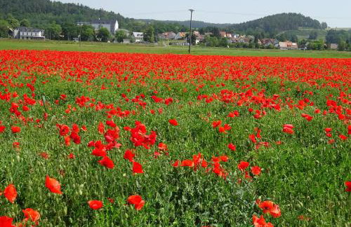 Ferienwohnung Wassergartenparadies - Foto 34