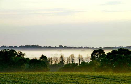 The Springs - Photo 11