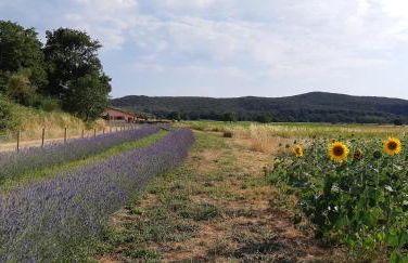 Bio Agriturismo Le Giunchiglie - Foto 8