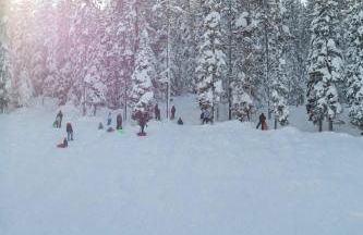 Wildflower Getaway HALF acre yard firepit hot tub bikes Dogs OK - Foto 41