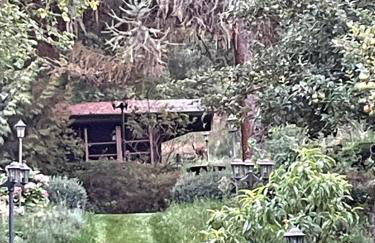 Ferienwohnung in Werder Havel Innenstadt - Photo 18