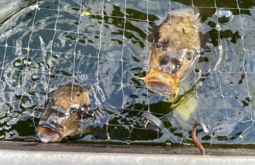 Beautiful Barn Conversion, 3 Bed, hot tub, sauna, gym, enclosed garden - Photo 31