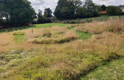 The Orangery - Foto 35