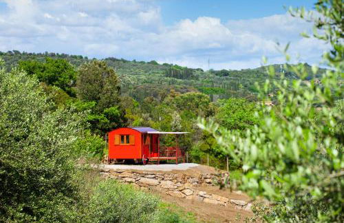 Poggio Diavolino - Suvereto - Foto 70