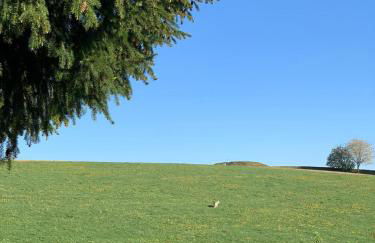 Landhaus Lehhof - Foto 48