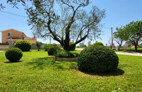 Comfort Apartment Smokva - Foto 15