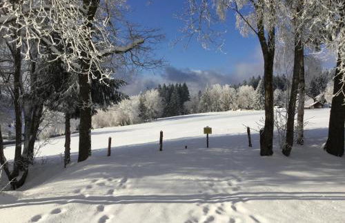 FERIENWOHNUNG FORSTPANORAMA - Foto 20