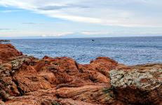 Studio port santa lucia - Foto 34