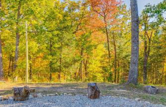 Secluded - Renovated Cabin - Enjoy Peace & Quiet - Foto 32