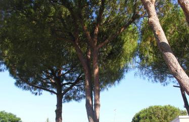 Siracusa Solemare - Foto 63