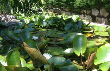 Il Pioppo Antico - Photo 69