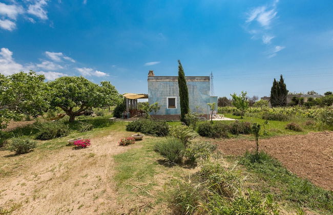 Le Cernicole - Foto 28