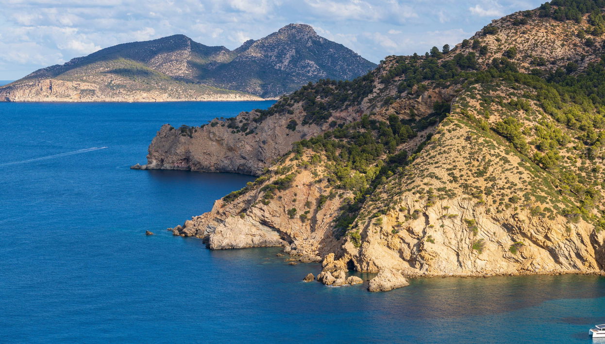 Port d'Andratx & Egos Cove Boat Trip - Foto 1