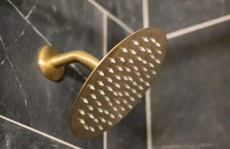 Beautiful 2 Bed 1 Bath home near College Hill - Photo 35