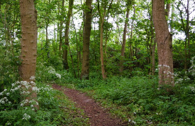 Hof van Zeeland - Photo 68