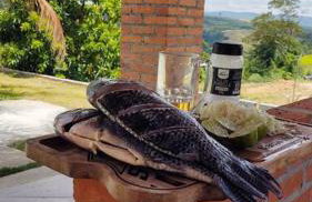 Chacara em Condomínio - Foto 41