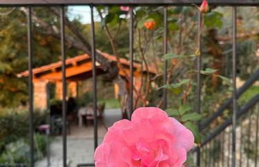 Casetta nel Podere di Massi - Foto 8