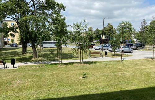 Nowoczesny Apartament w Dzierżoniowie - parter - balkon - pokój + sypialnia - Foto 12