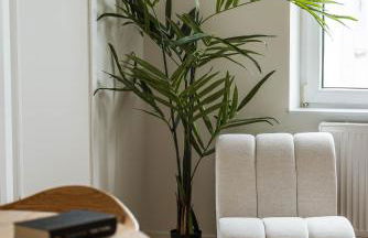 STAYLIGHT - Celle am französischem Garten - Photo 6