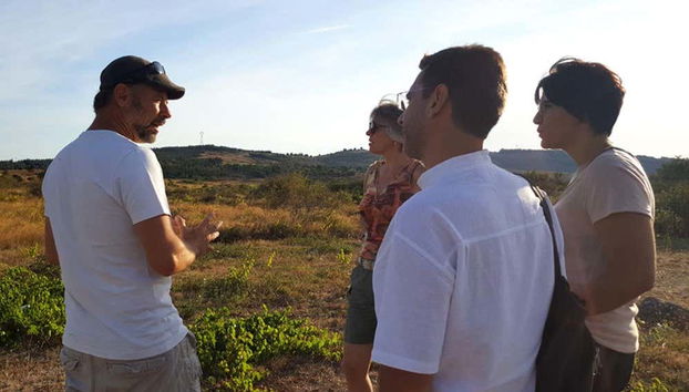 Conociendo los viñedos de Bélesta