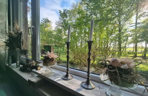 Wohlfühlurlaub auf dem Reit- und Ferienhof Goldberg - Foto 1