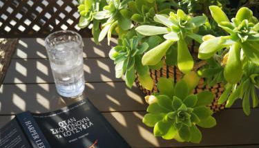 House in riviera lagonisi - Foto 5