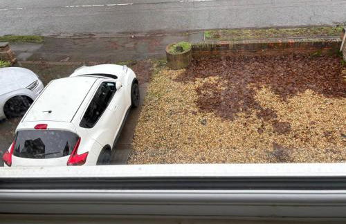 Tranquil Wolves Retreat with 4 Bedrooms - Foto 6