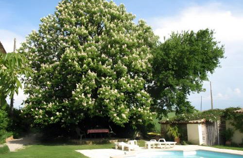 Appartement 2 - Foto 15