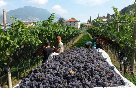 Residence La Colombera - Foto 55