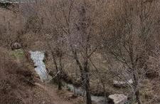 Xenia Alojamientos - Foto 69