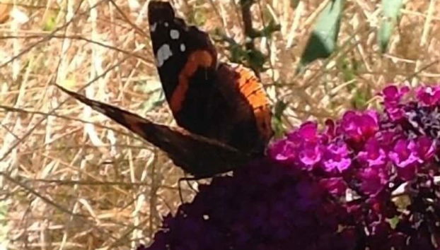 La Guinière Chambres D'hôtes - Foto 2, Imagen principal