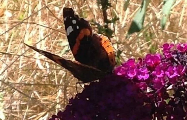 La Guinière Chambres D'hôtes - Foto 1
