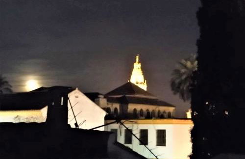 Entre patios y flores - Foto 36