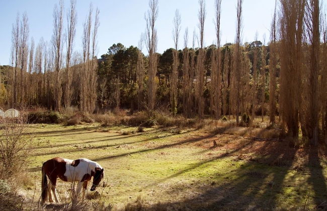 El Horno de Leopoldo - Photo 44