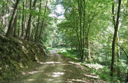 Ferienwohnung zur Mühle - Foto 74