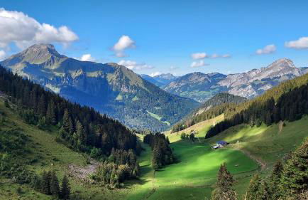 Les Vues de Lily - Châtel - Foto 54