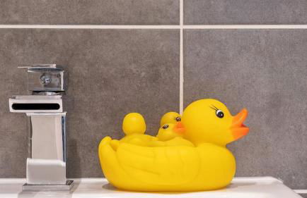 Seahorses - Photo 20