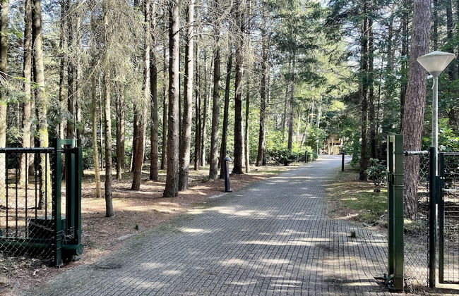 Quaint Villa in Doornspijk With Swimming Pool - Photo 6