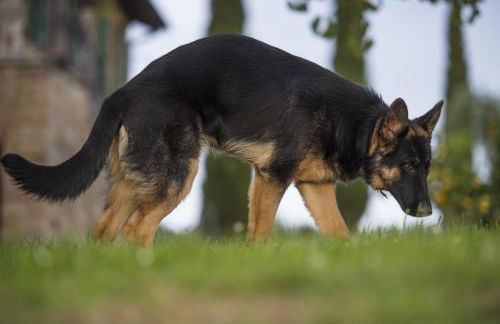 Agriturismo Bagnaia - Foto 55