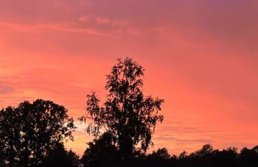 Ferienwohnung Naturpark Südheide im Retro-Style - Foto 16