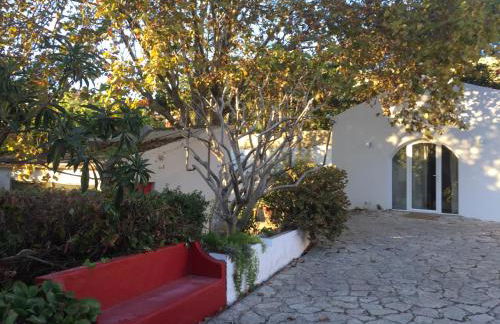 Casa do Hibisco - Foto 2