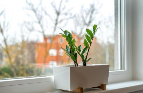 Apartment Sole - Foto 6