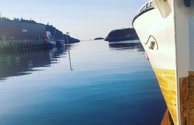 Finnvika Lodges - Photo 10