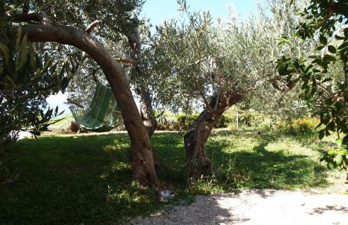 Holiday Home Chill Zone - Foto 51