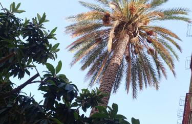 La casa di Anna - Foto 47