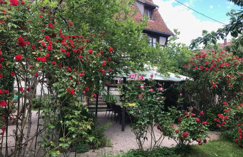 La Cour Zaepffel - Foto 55