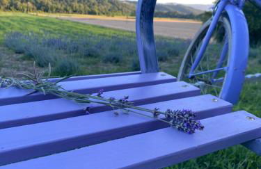 Casa Vacanze Podere San Giusto Volterra - Foto 38