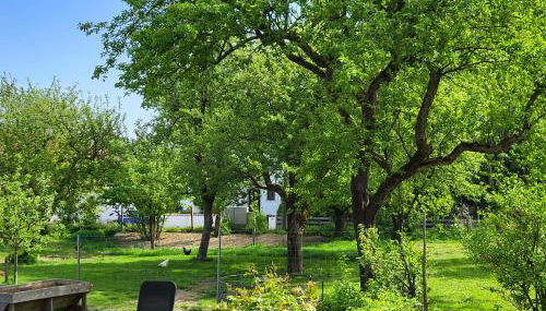 Ferienwohnungen Hörterer | Chiemgau Karte - Foto 4